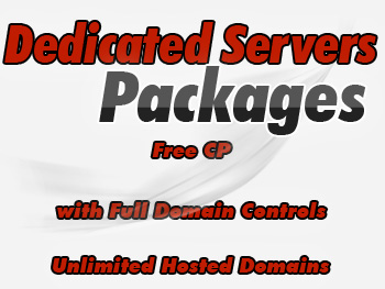 Low-cost dedicated server hosting providers